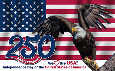 250 Year Anniversary Badge
